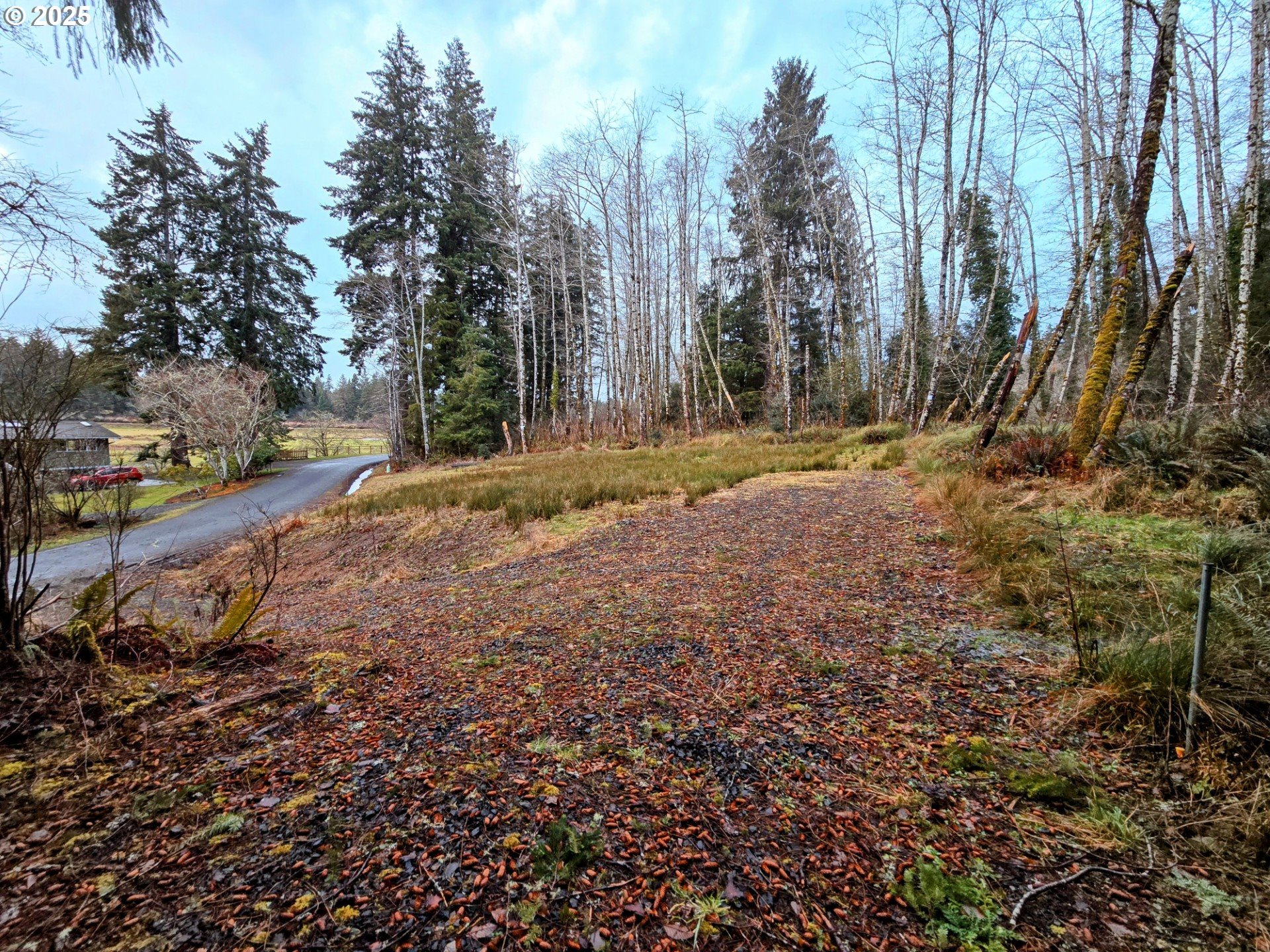 92303 Claremont Road Astoria, OR 97103 - Photo 2 of 4