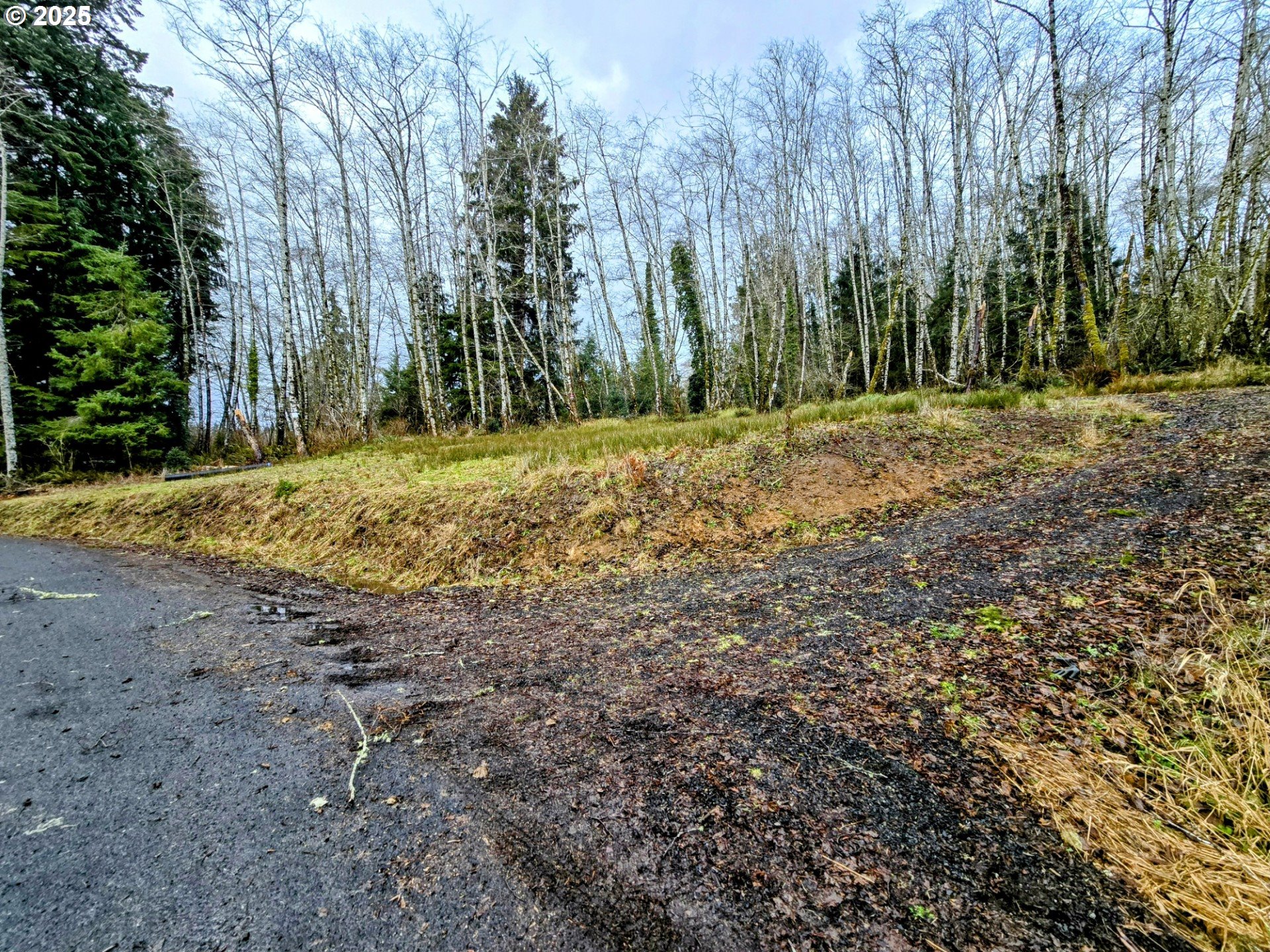 92303 Claremont Road Astoria, OR 97103 - Photo 3 of 4 View
