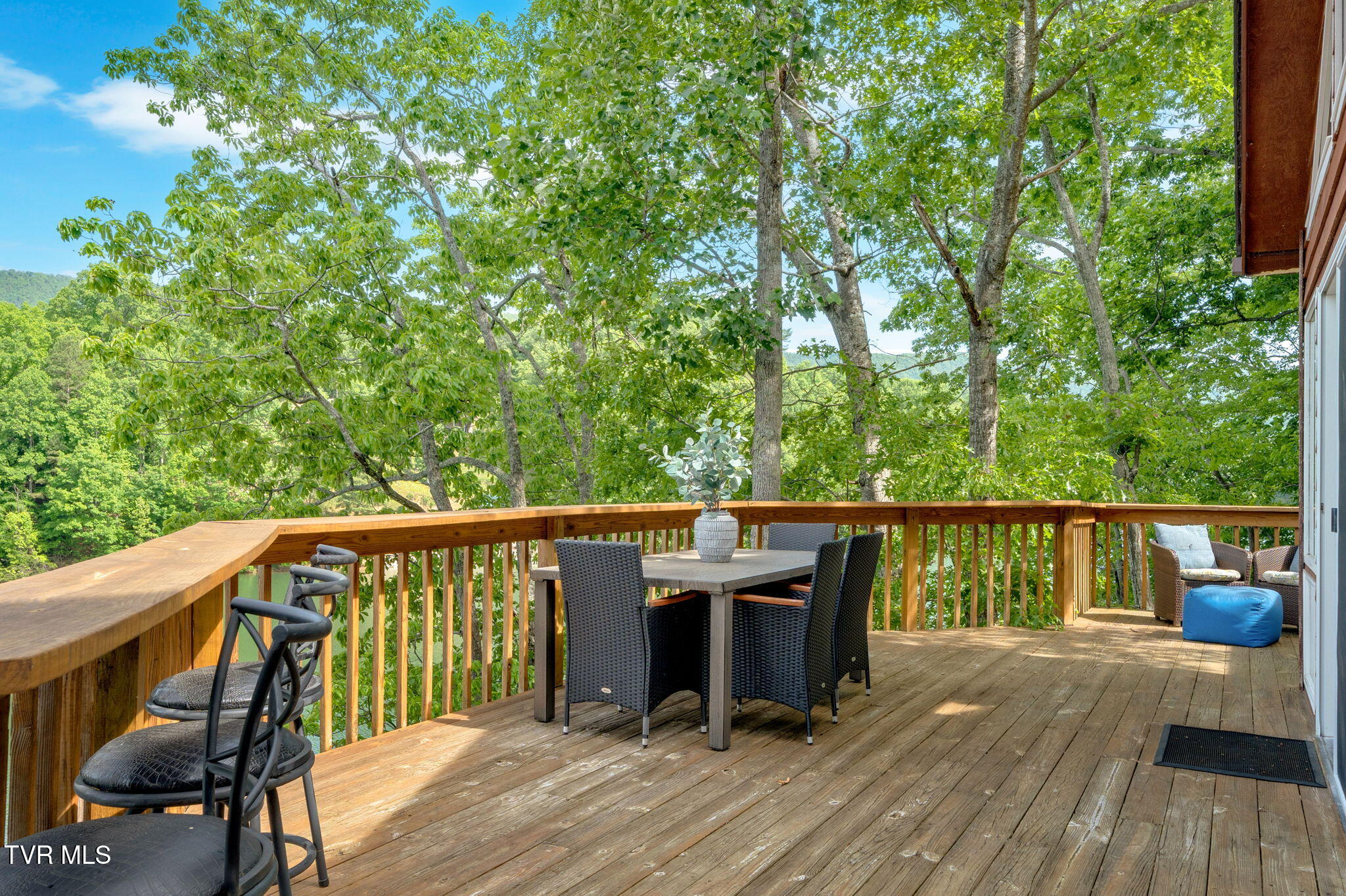 310 Cove Ridge Lane Butler, TN 37640 - Photo 26 of 64 IMG_2809