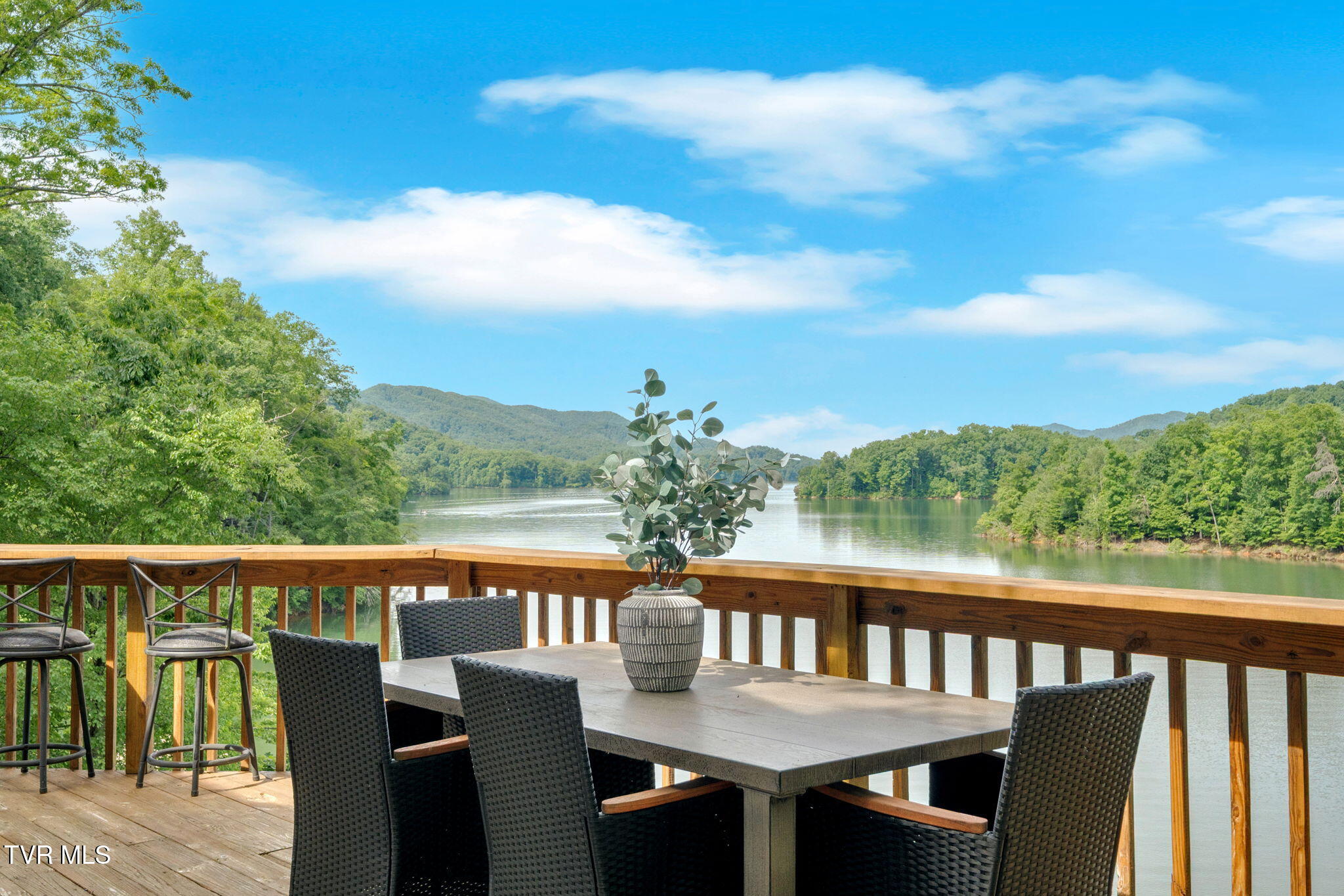 310 Cove Ridge Lane Butler, TN 37640 - Photo 28 of 69 IMG_2811