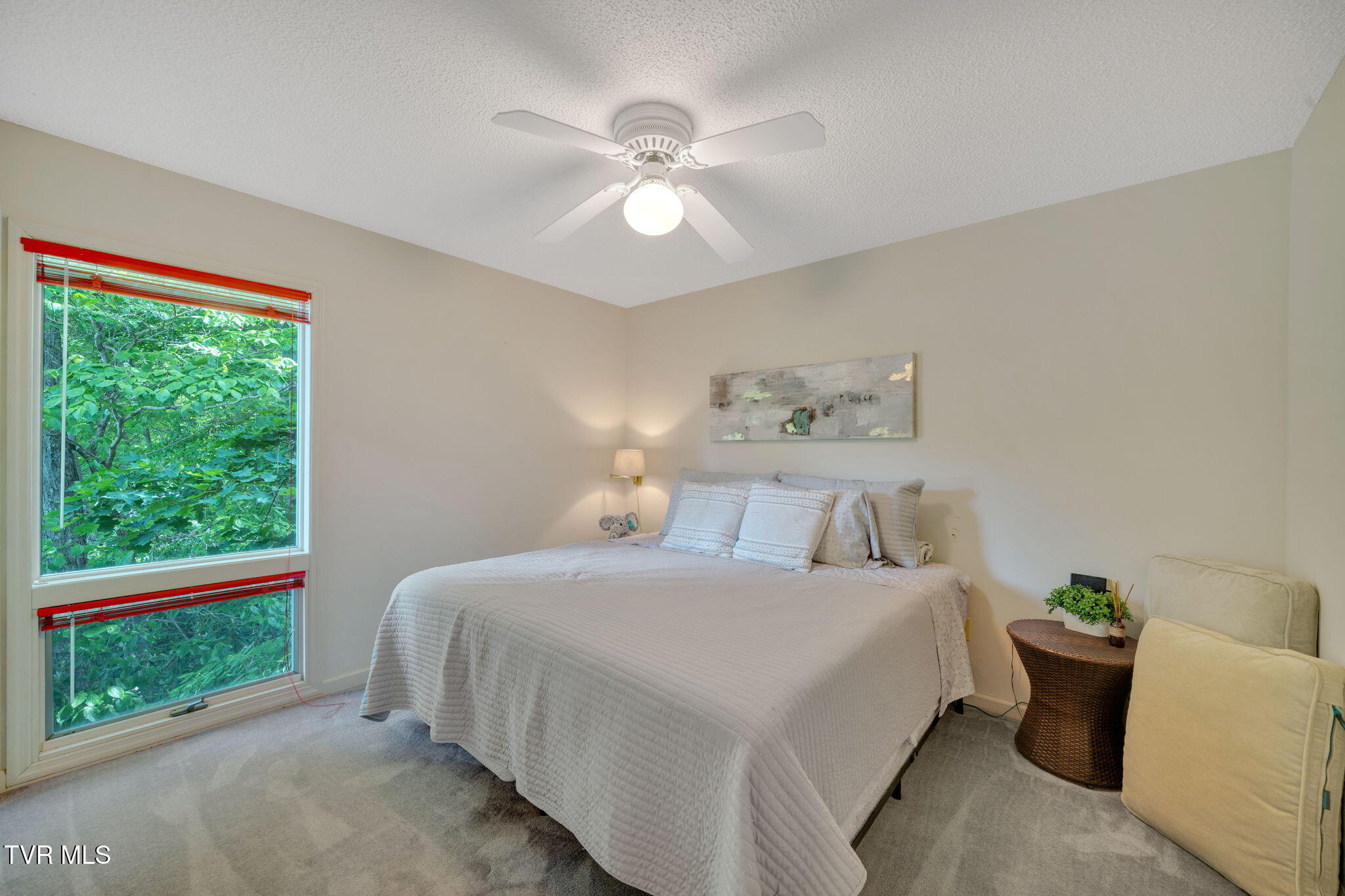 310 Cove Ridge Lane Butler, TN 37640 - Photo 36 of 69 IMG_2789