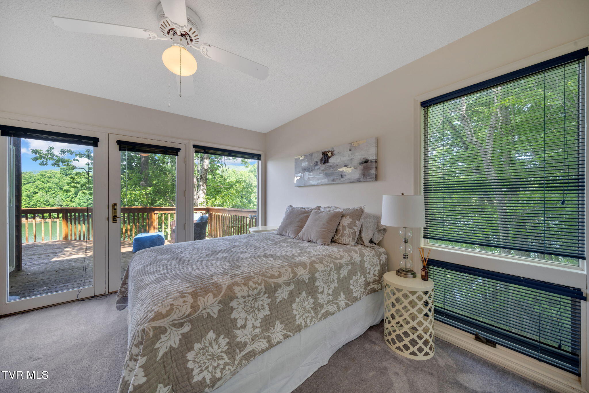 310 Cove Ridge Lane Butler, TN 37640 - Photo 38 of 69 IMG_2793