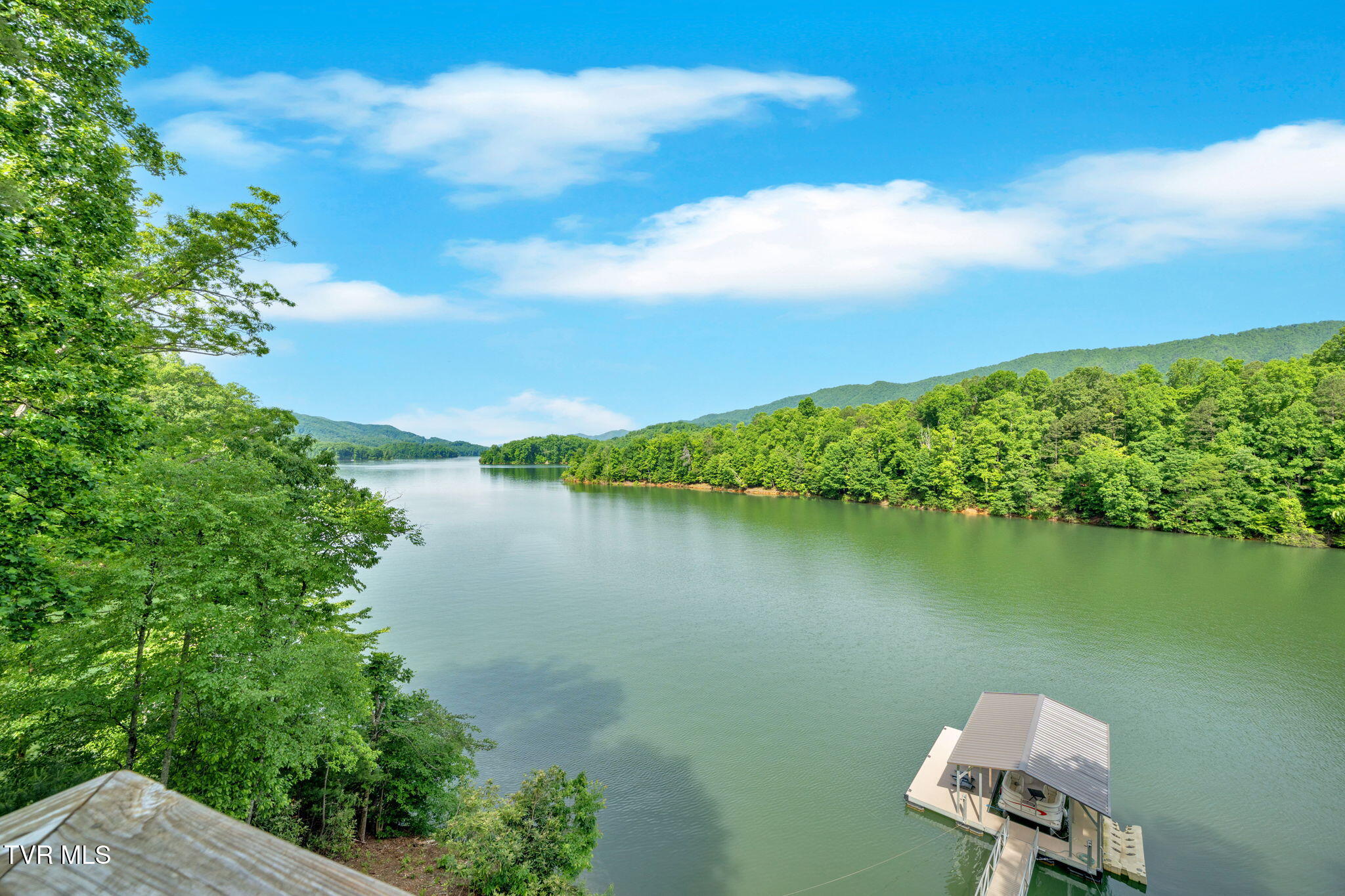 310 Cove Ridge Lane Butler, TN 37640 - Photo 48 of 64 IMG_2784