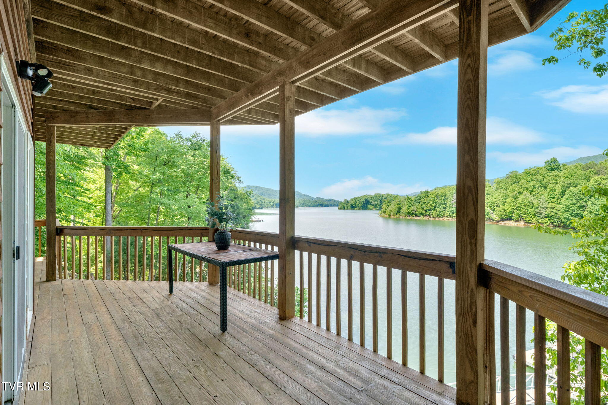 310 Cove Ridge Lane Butler, TN 37640 - Photo 61 of 64 IMG_2829