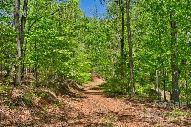 a view of a park with large trees