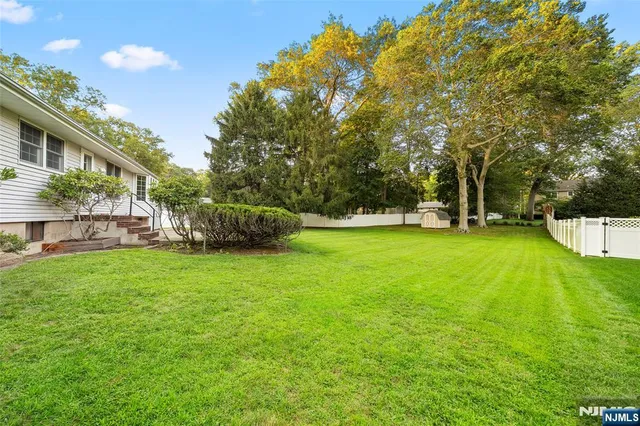 a view of a house with backyard and a tree