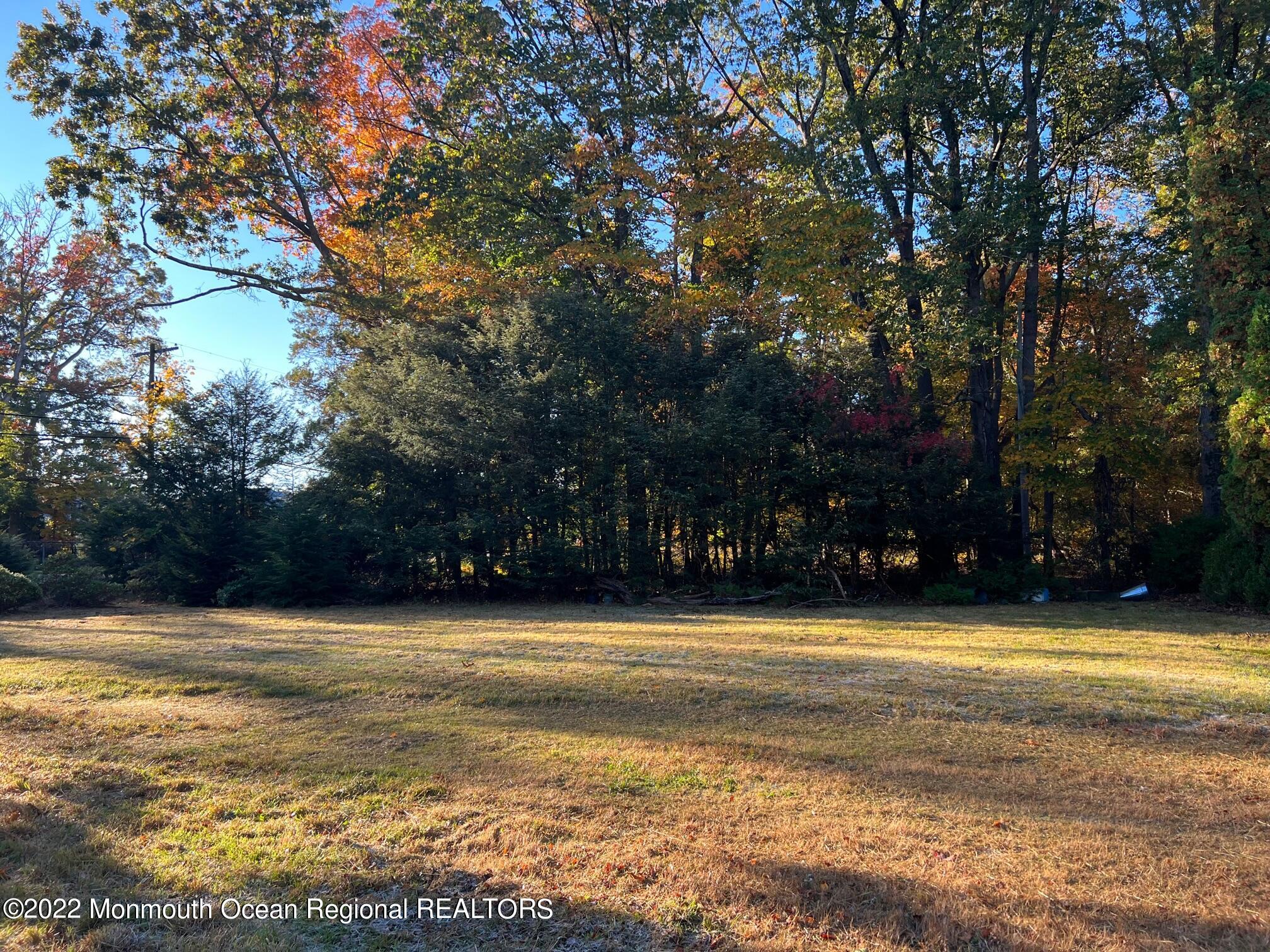 250 Jackson Mills Road Freehold, NJ 07728 - Photo 3 of 14 IMG_0940