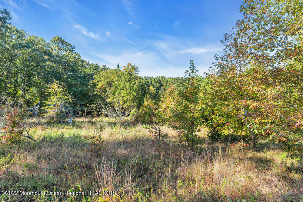 250 Jackson Mills Road Freehold, NJ 07728 - Photo 5 of 14 005_dsc09512