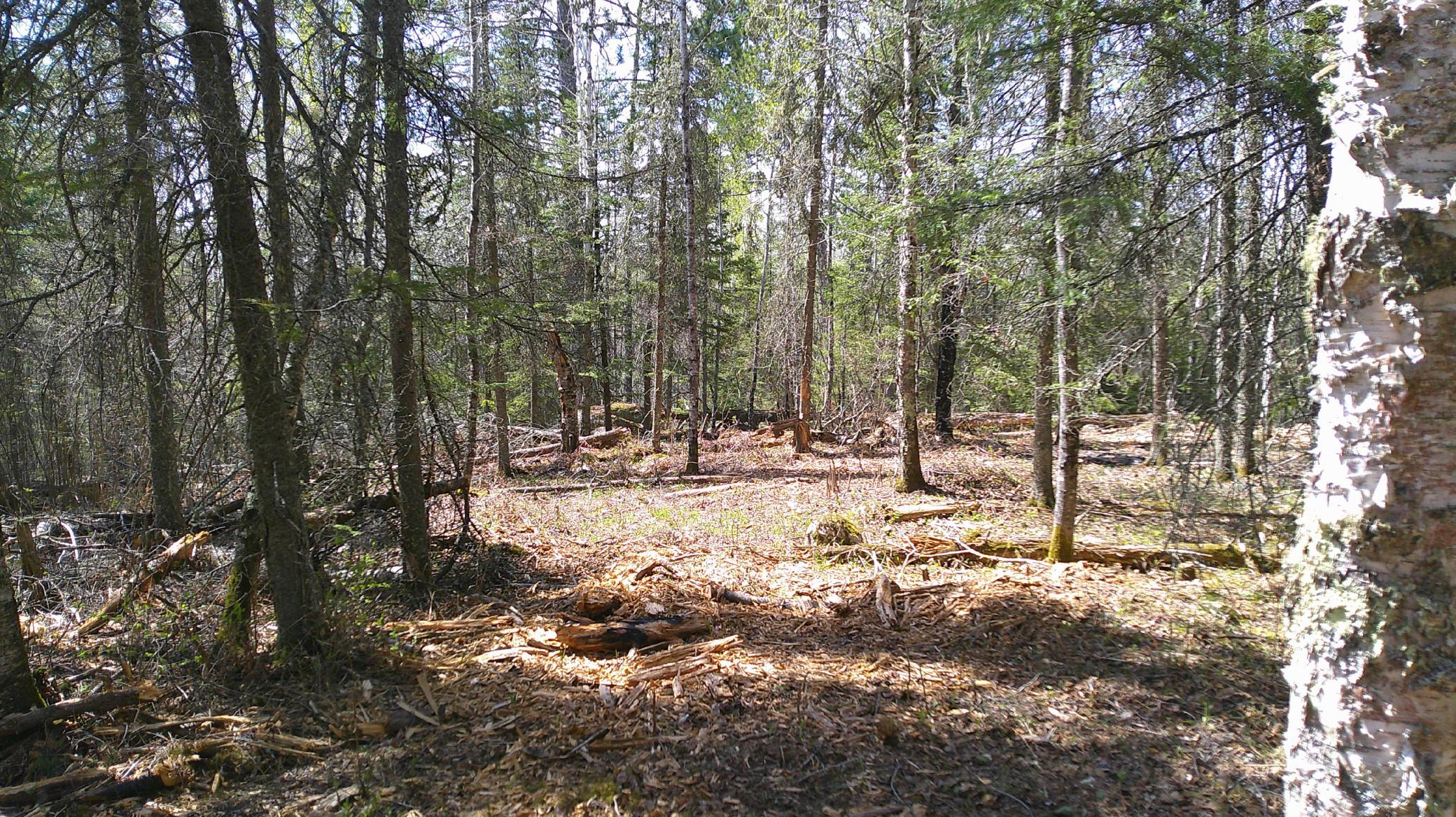 Parcel W Frazer Bay Road Tower, MN 55790 - Photo 3 of 12