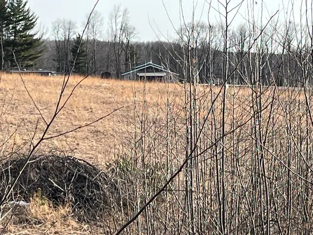 $435,000 | 264 South 152nd Avenue, Unit CABIN & 20 ACRES, Shelby, MI 49455