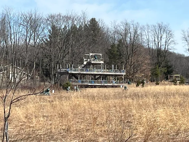 $435,000 | 264 South 152nd Avenue, Unit CABIN & 20 ACRES, Shelby, MI 49455