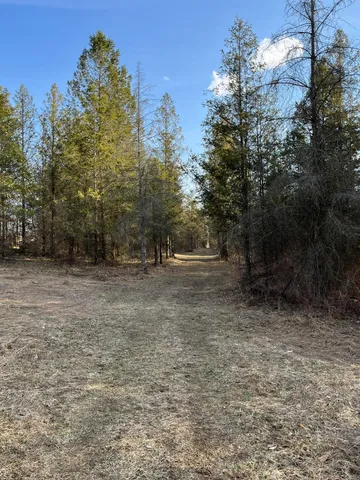 $435,000 | 264 South 152nd Avenue, Unit CABIN & 20 ACRES, Shelby, MI 49455