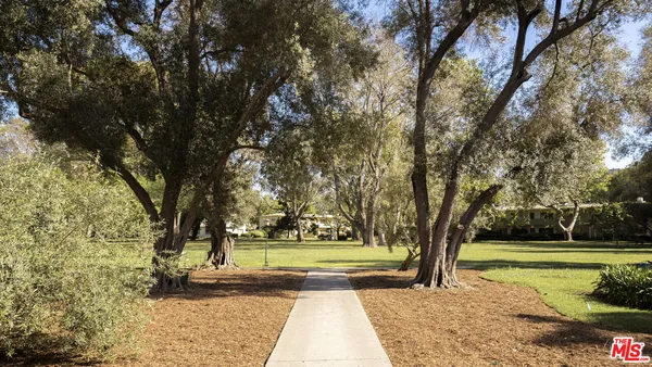 a view of a yard with large trees