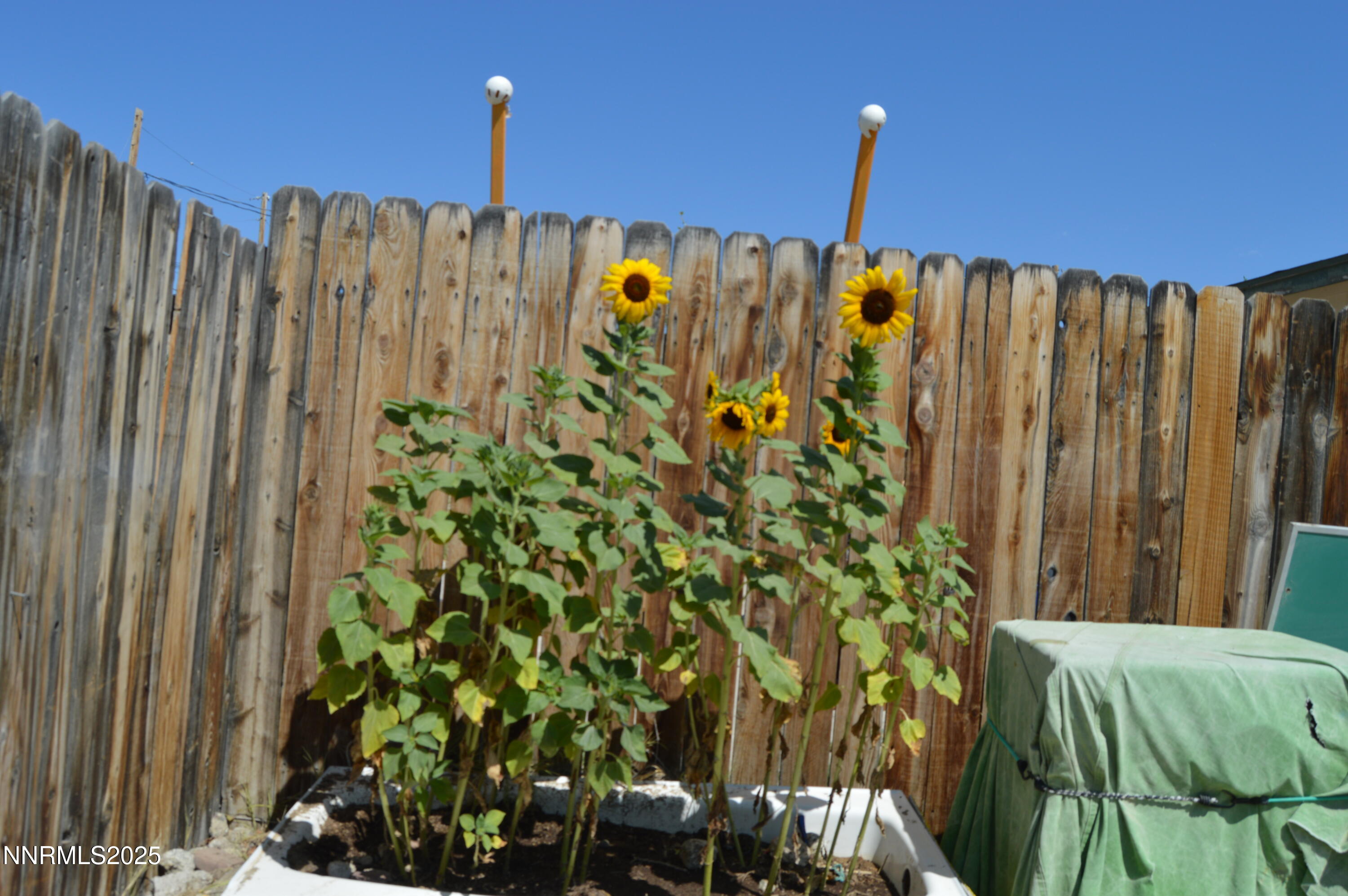 255 Elm Street Gerlach, NV 89412 - Photo 16 of 18 DSC_0445