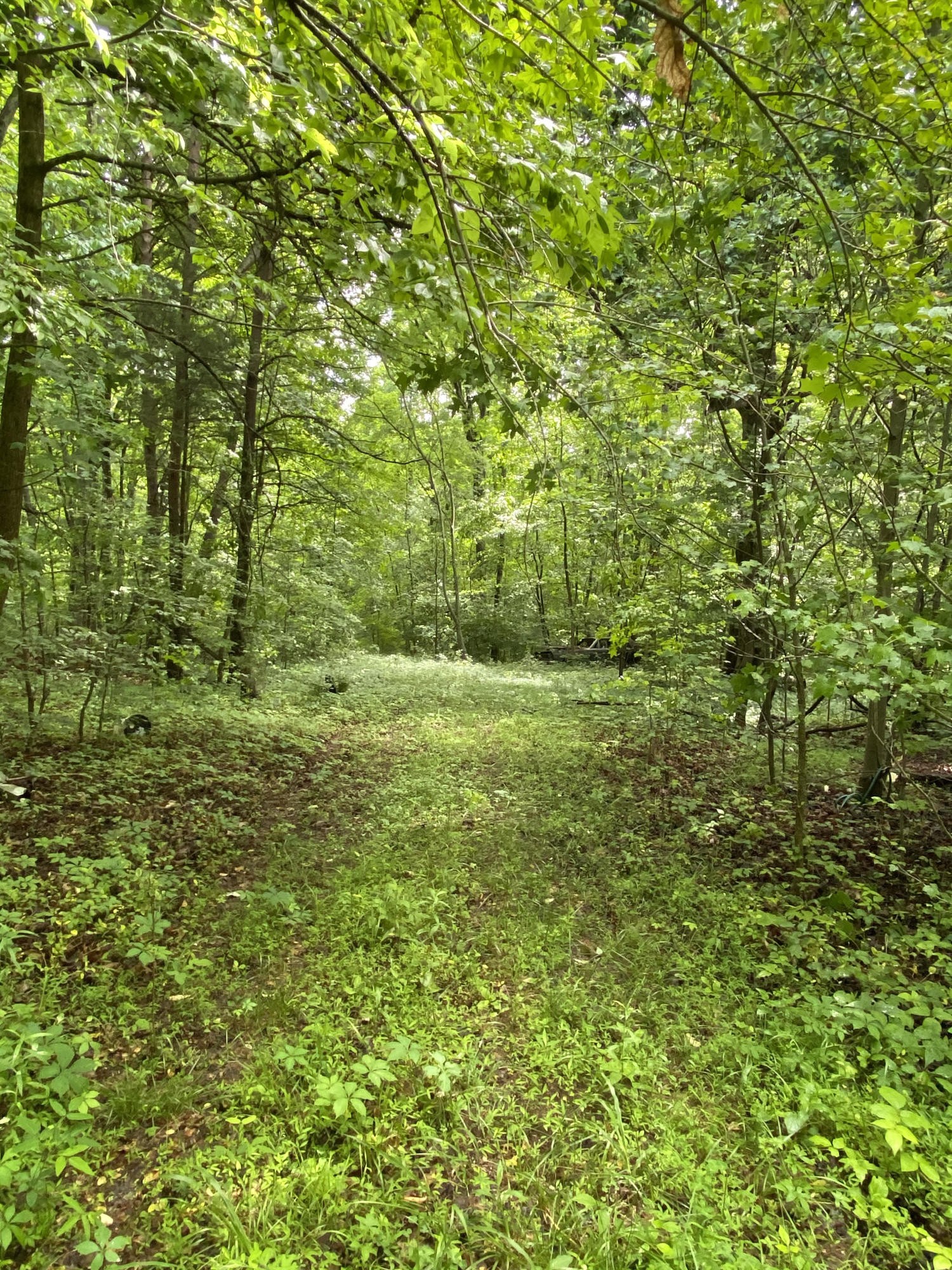 0 Wilder Lane Powell, TN 37849 - Photo 2 of 7 Gallery Image 2