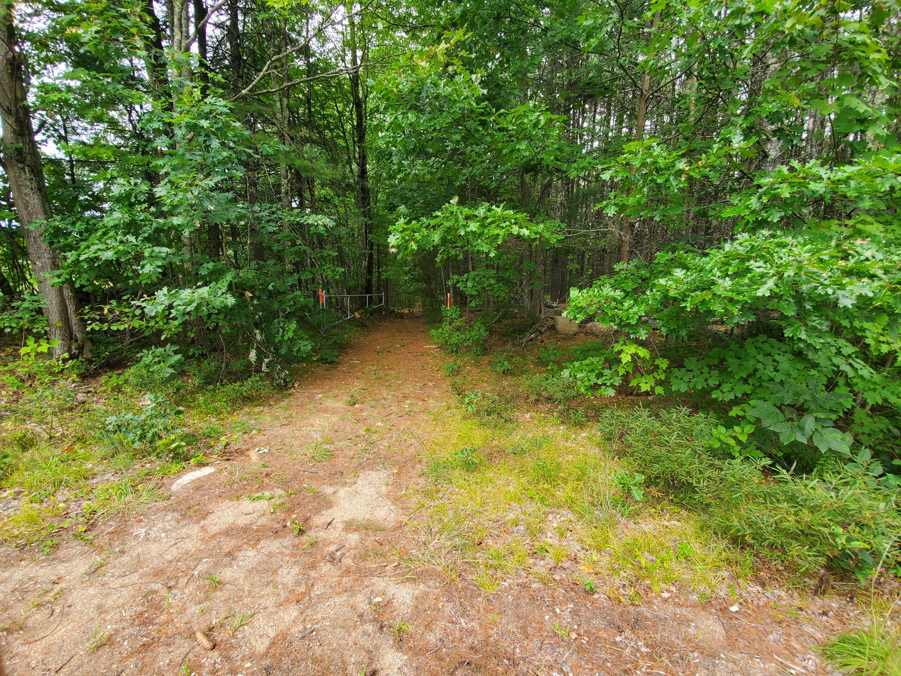 Tbd Blueberry Hill Road Alfred, ME 04002 - Photo 4 of 11 Road between