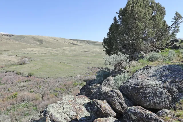 $3,000,000 | Tbd Tbd Marsh Creek Road, Albion, ID 83311