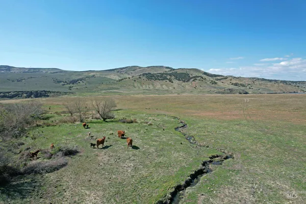 $3,000,000 | Tbd Tbd Marsh Creek Road, Albion, ID 83311