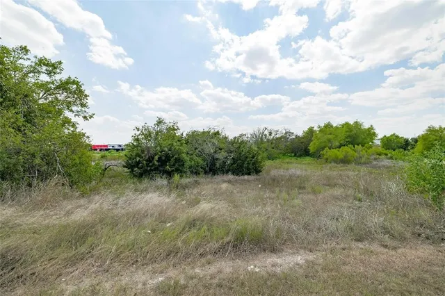 a view of a dry yard with trees