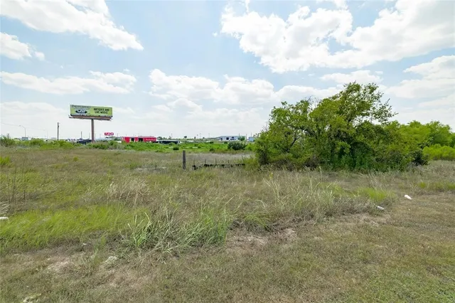 a view of a yard with a plants and trees