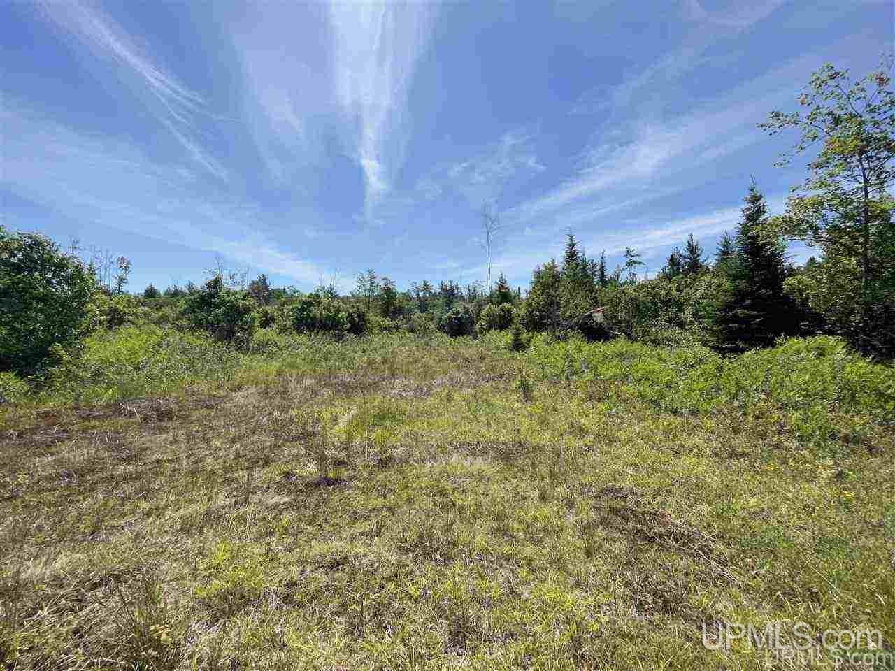 Tbd Off Cooks Lake Road, Unit 1 Wetmore, MI 49895 - Photo 5 of 19