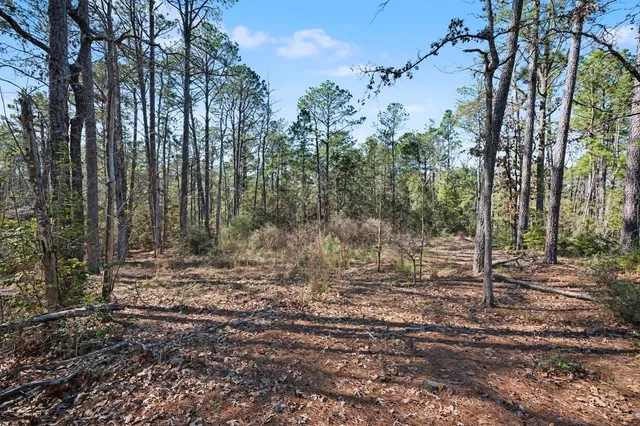 a view of outdoor space and trees