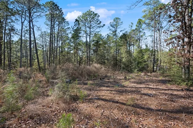 a view of a dry yard with trees