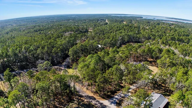 a view of a lots of trees and bushes