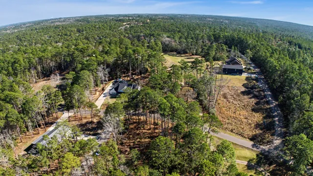 a view of a lush green forest with trees and houses