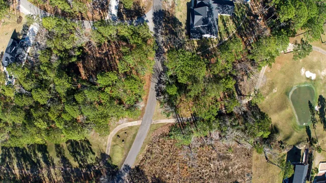a view of a garden with plants