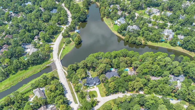 a view of a garden with plants