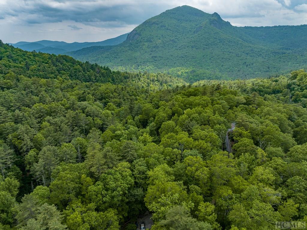 0 Wild River Road Cashiers, NC 28717 - Photo 10 of 13 Gallery Image 10