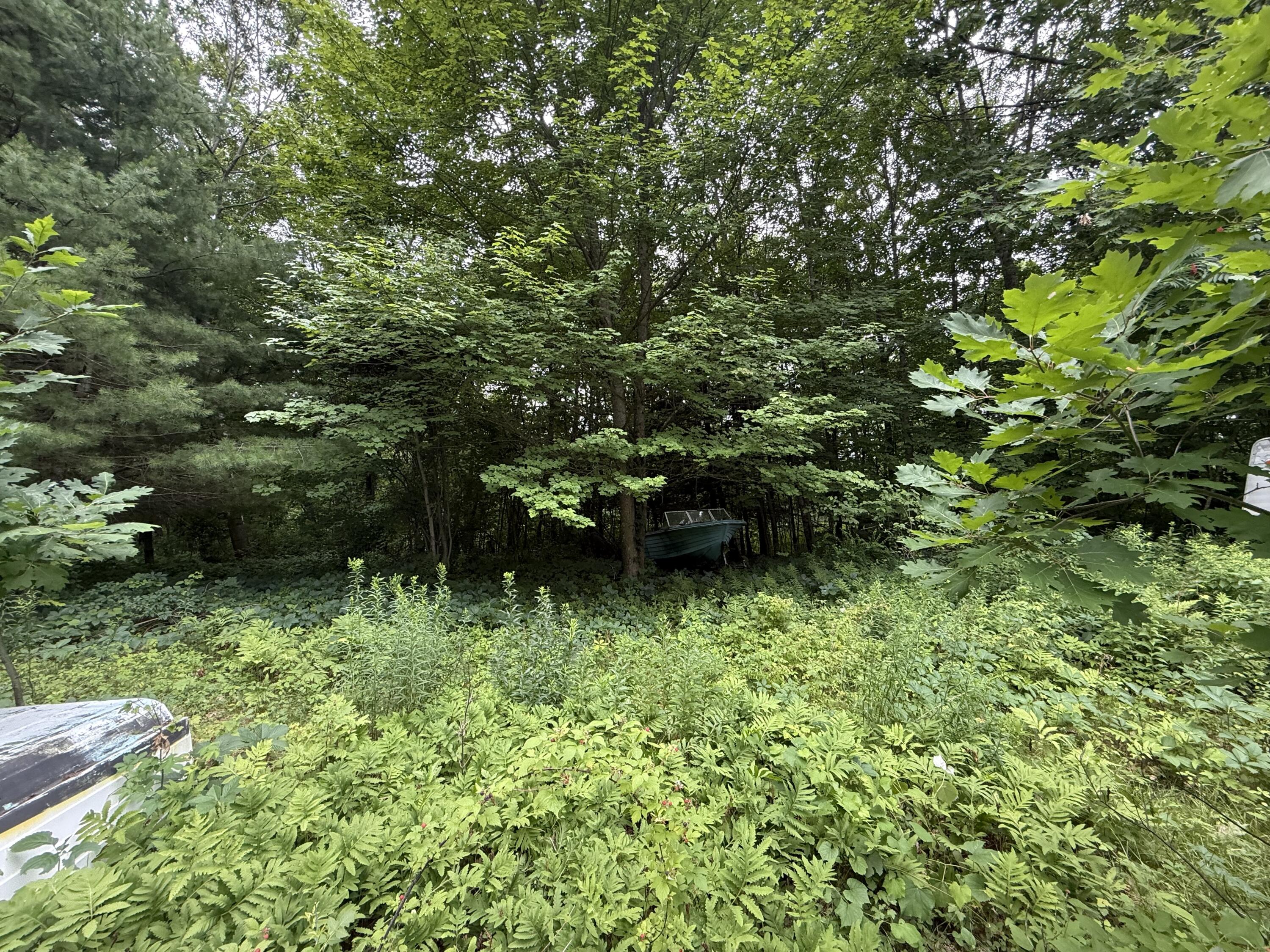 84 Intervale Road Jay, ME 04239 - Photo 29 of 44 IMG_0152