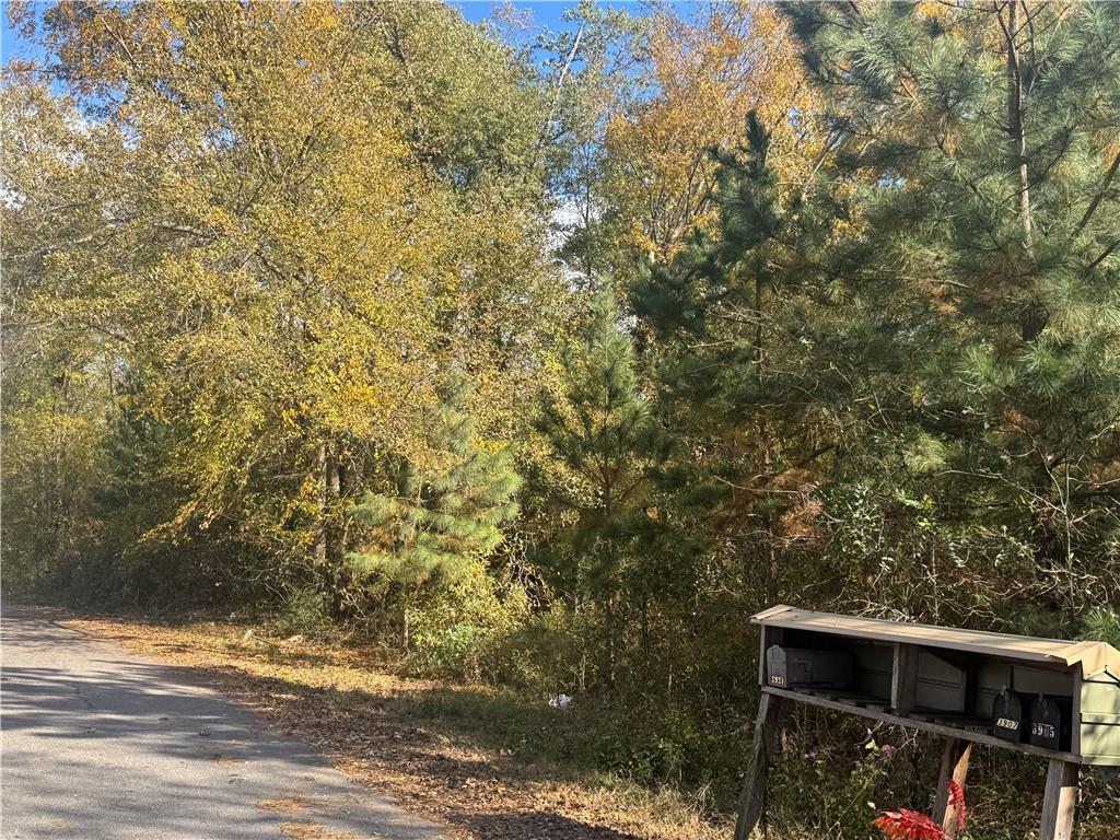 1201 Goddard Avenue Seneca, SC 29678 - Photo 9 of 13