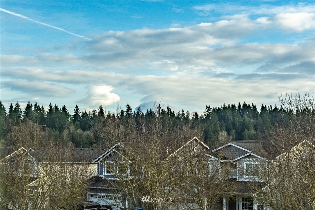10503 Angeline Road East Bonney Lake, WA 98391 - Photo 37 of 38 a view of a lake with a mountain in the background