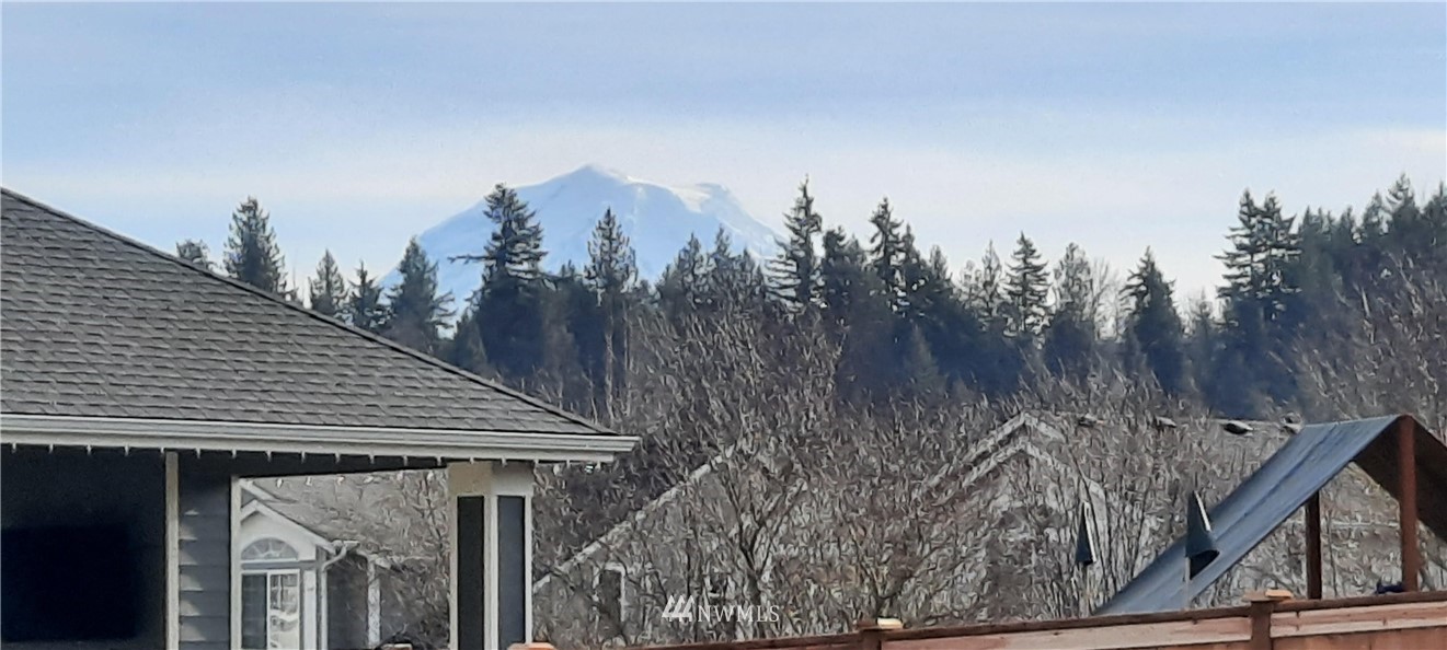 10503 Angeline Road East Bonney Lake, WA 98391 - Photo 38 of 38 a view of a house with a outdoor space