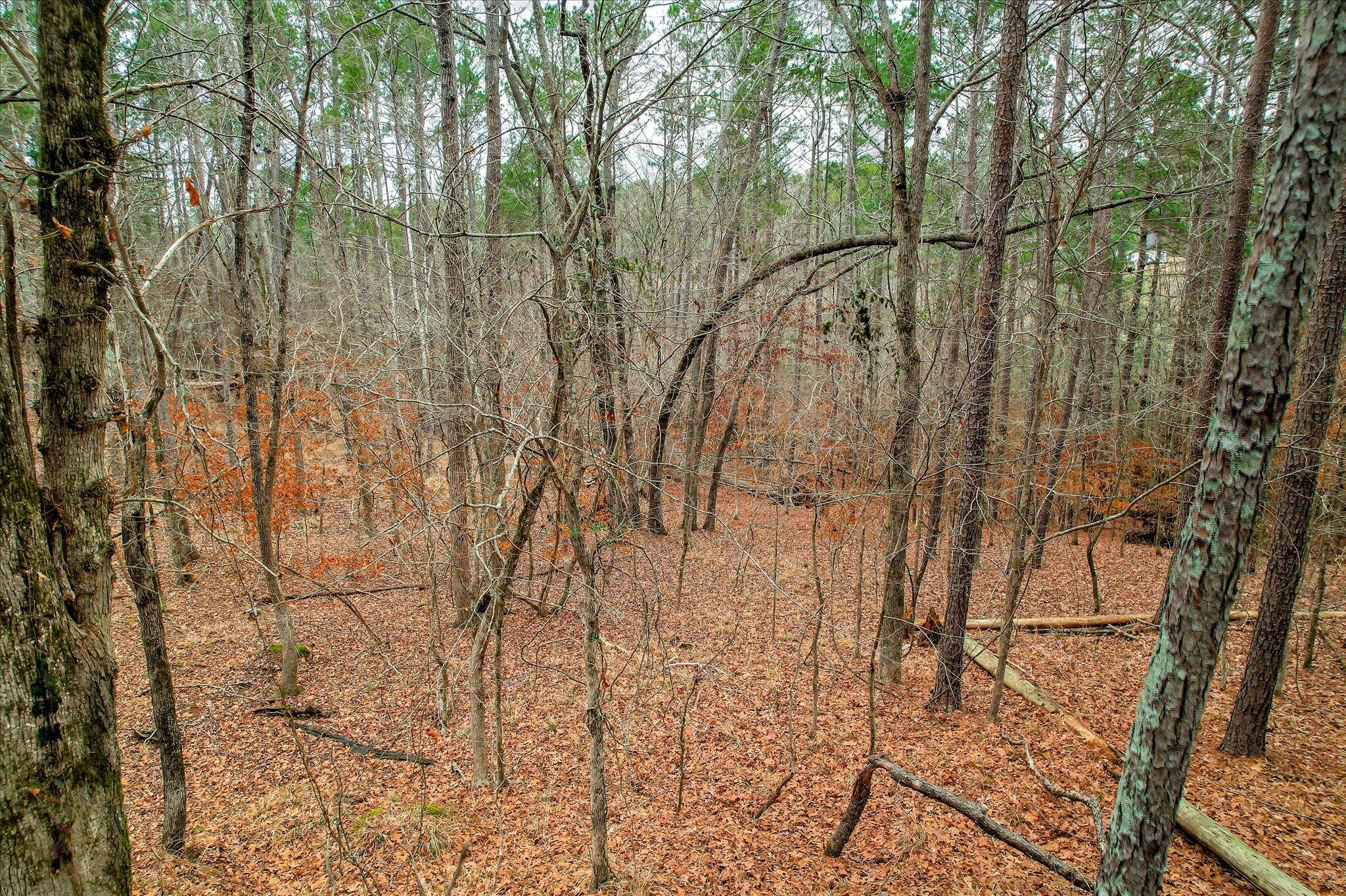 Lot K-18 Lot K-18 Collin Reeds Road Edgefield, SC 29824 - Photo 4 of 24