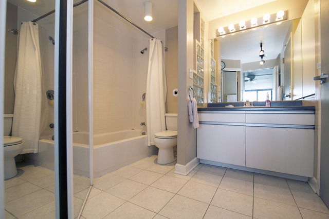 1221 North Dearborn Parkway, Unit 1601N Chicago, IL 60610 - Photo 13 of 21 a bathroom with a sink a toilet and shower