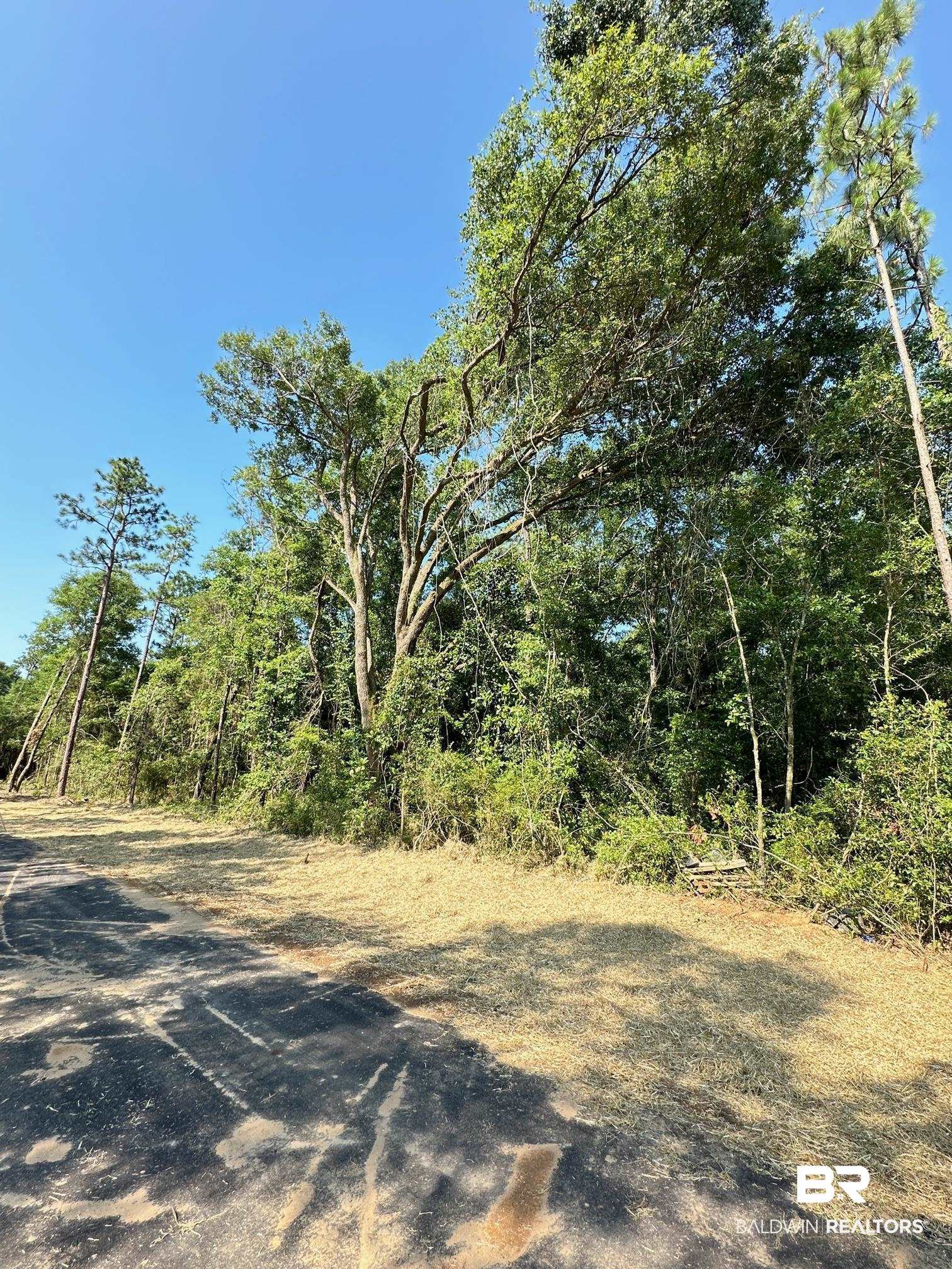 14356 State Highway Silverhill, AL 36576 - Photo 11 of 15