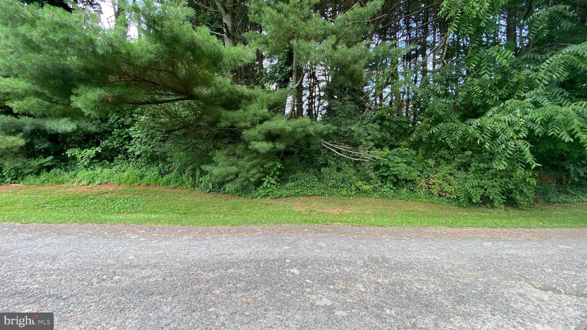 Smith Road Rising Sun, MD 21911 - Photo 2 of 4 Front of lot from lane