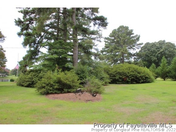 906 Cashwell Road Stedman, NC 28391 - Photo 11 of 25 Gallery Image 11