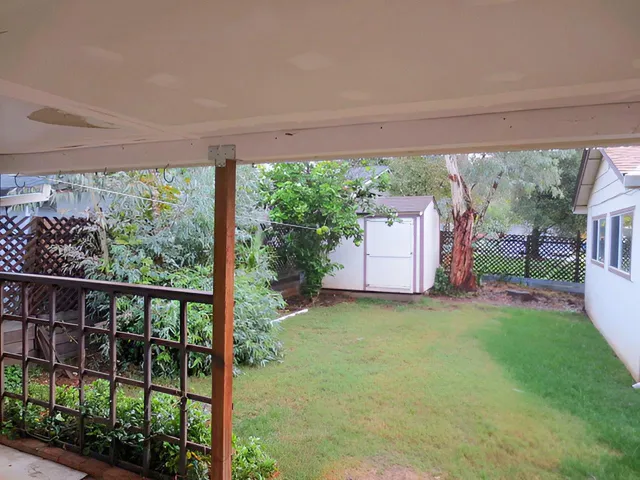 a view of a backyard with large trees and plants