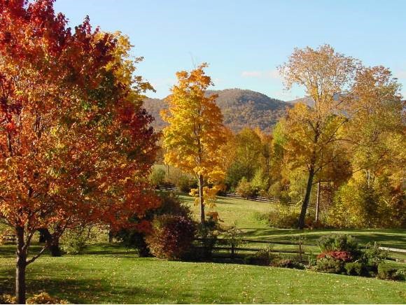 2199 Lower Hollow Road Dorset, VT 05251 - Photo 30 of 30 Gallery Image 30