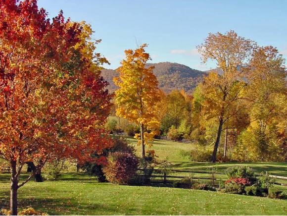 2199 Lower Hollow Road Dorset, VT 05251 - Photo 5 of 30 Gallery Image 5