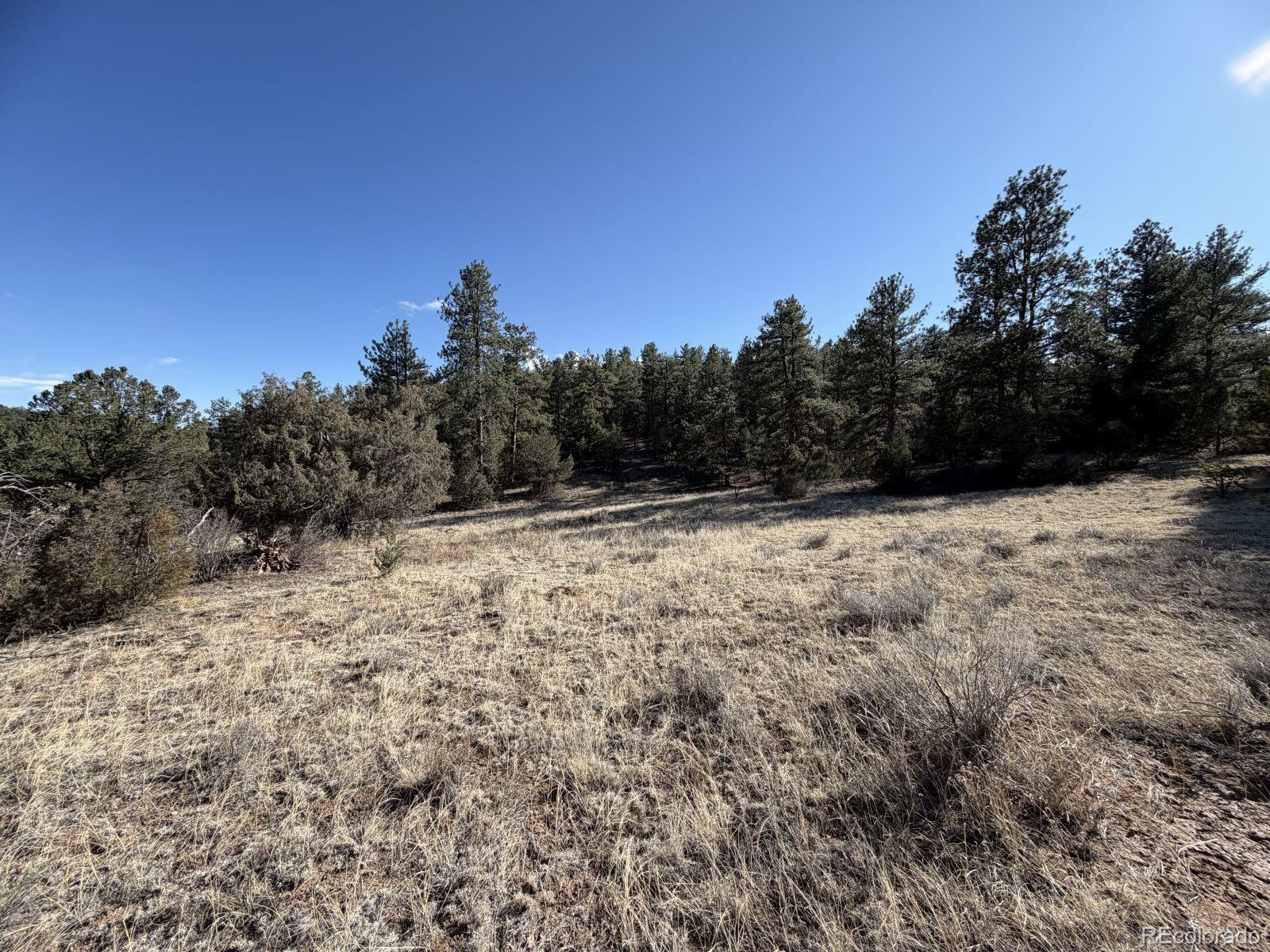 0 Canyon Road Cotopaxi, CO 81223 - Photo 2 of 10