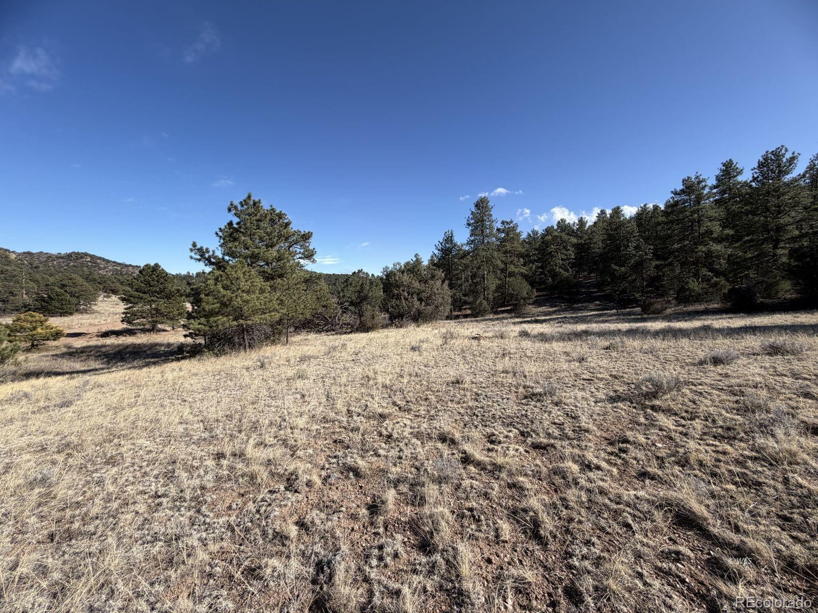 0 Canyon Road Cotopaxi, CO 81223 - Photo 4 of 10