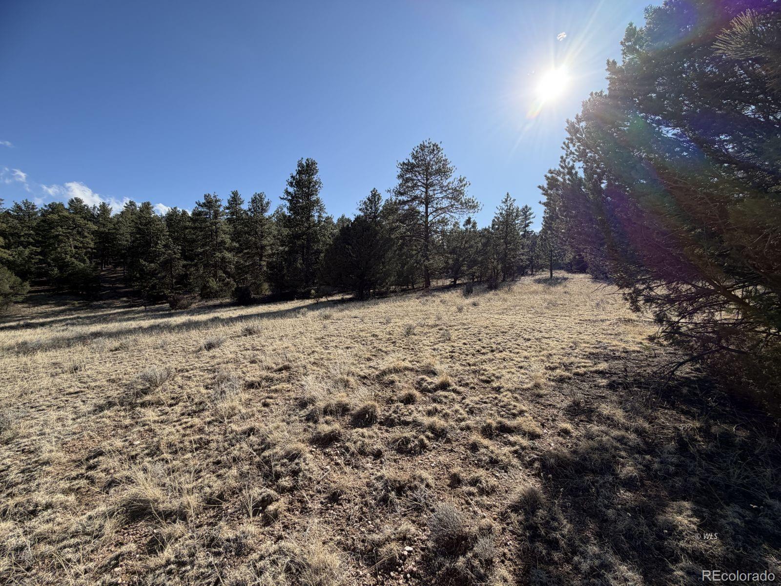 0 Canyon Road Cotopaxi, CO 81223 - Photo 6 of 10