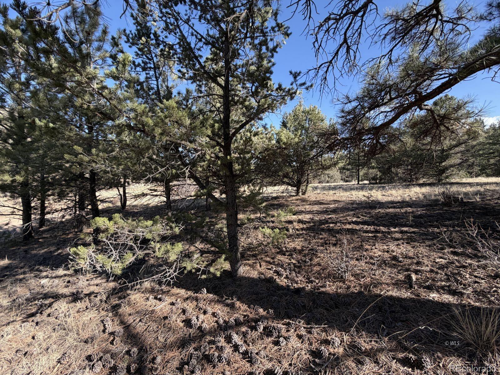 0 Canyon Road Cotopaxi, CO 81223 - Photo 7 of 10