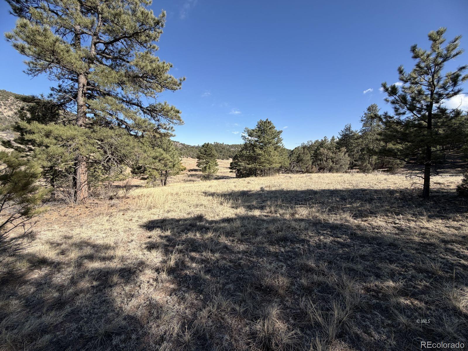 0 Canyon Road Cotopaxi, CO 81223 - Photo 8 of 10