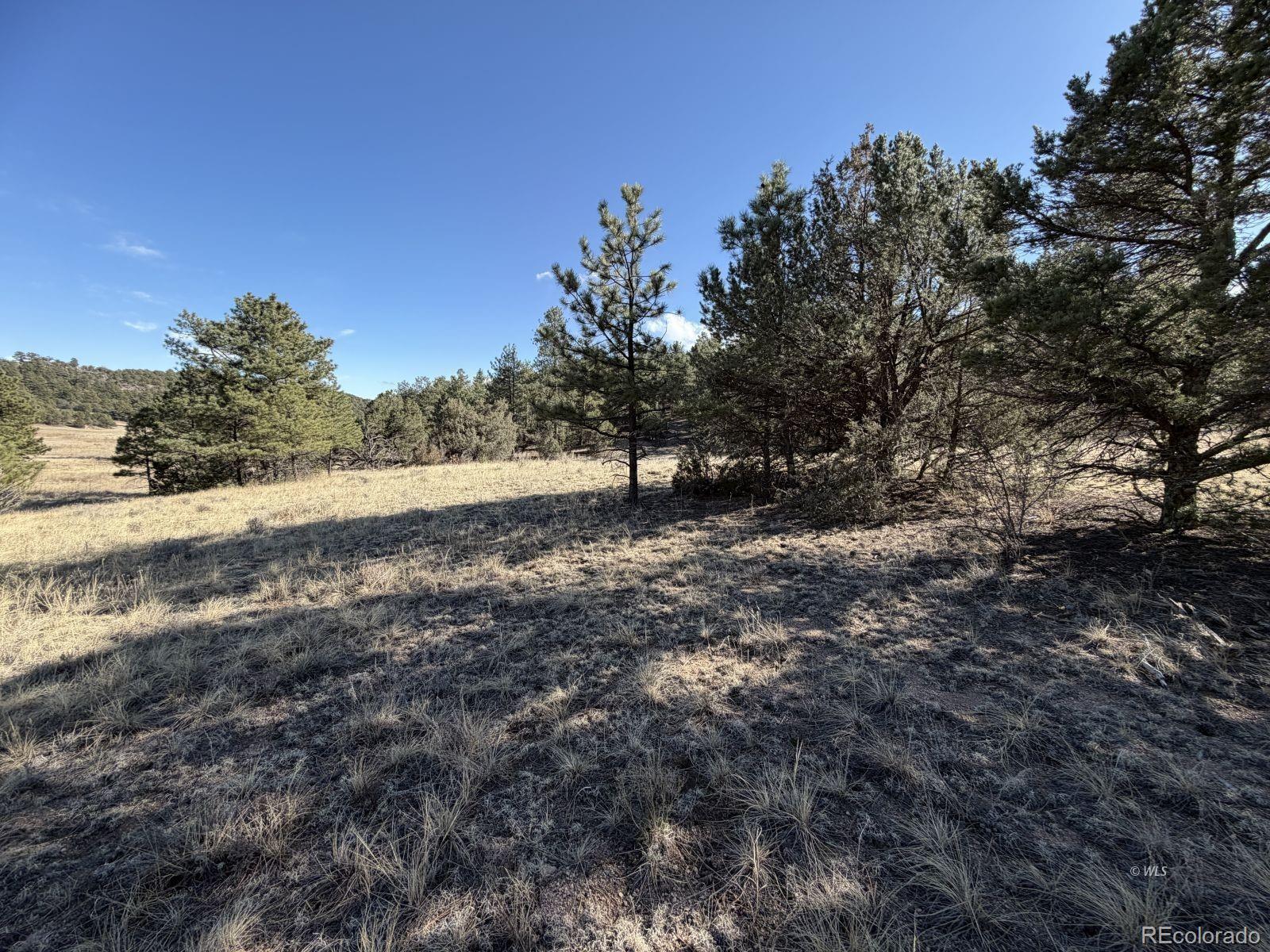 0 Canyon Road Cotopaxi, CO 81223 - Photo 9 of 10